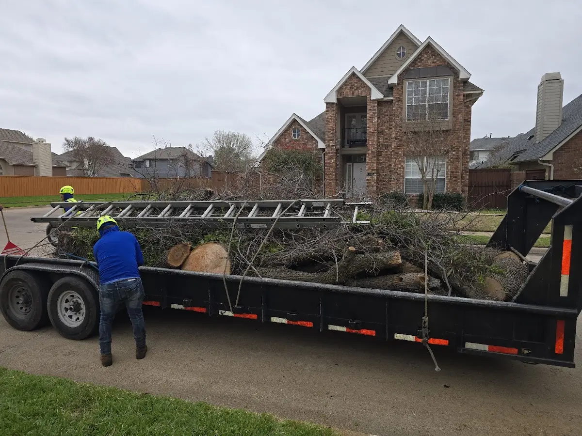 Expert Lot Clearing with proper safety equipment in Amlin